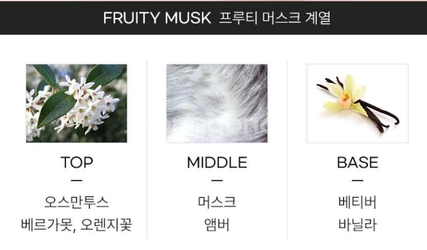 나르시소 로드리게즈 포허 오드뚜왈렛 100ml--2