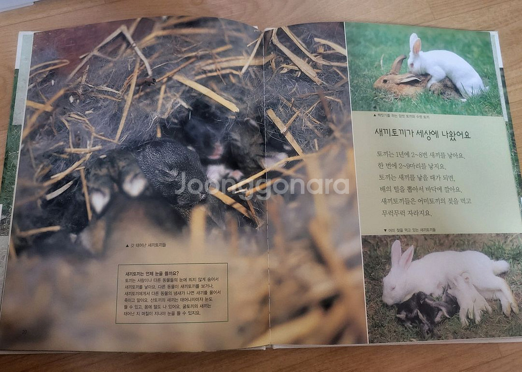 한국헤밍웨이 자연관찰 전집 53권--2