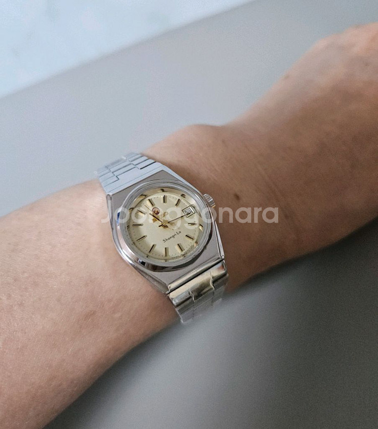 Rado 여성용 자동메탈 시계/SWISS--4