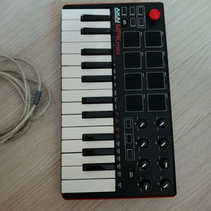 AKAI 프로페셔널 MPK 미니 MK3 25키 US