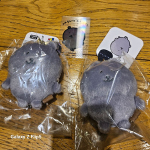 나가노마켓 컬러곰 농담곰 그레이 새상품 렌티큘러