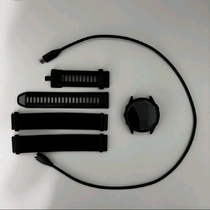 가민 포러너 265