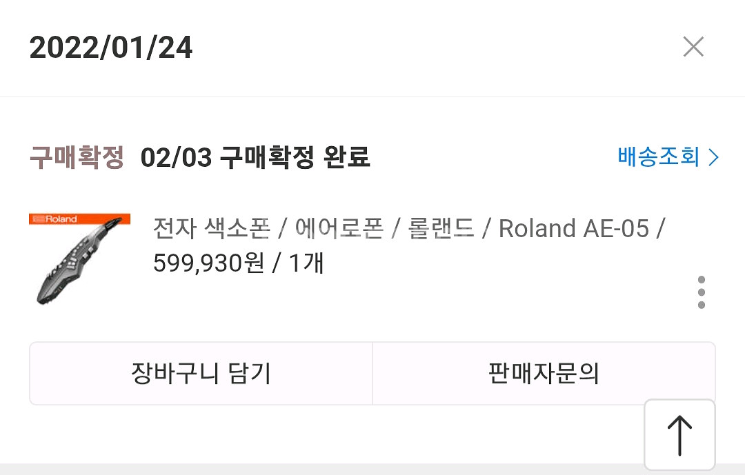 롤랜드 전자 색소폰, 에어로폰 AE-05--2