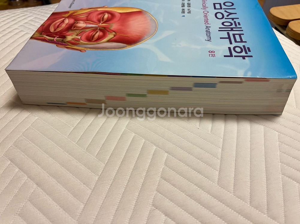 무어 임상해부학 8판 새상품--1