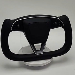 요크핸들 주니퍼