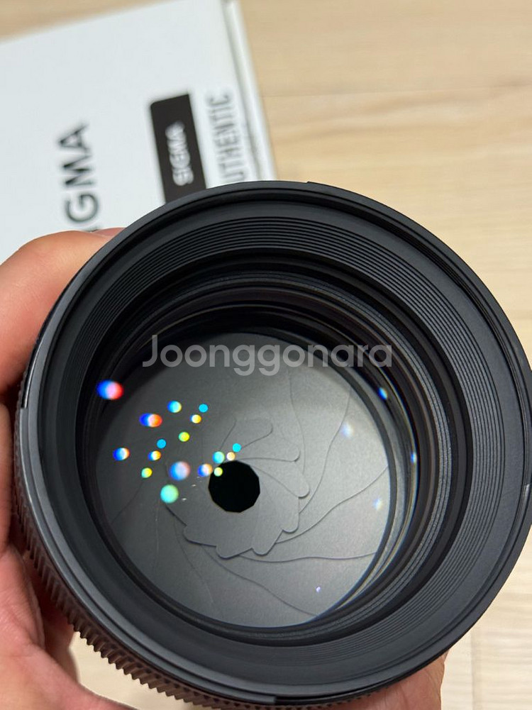 시그마 85mm F1.4 DG DN 렌즈--1
