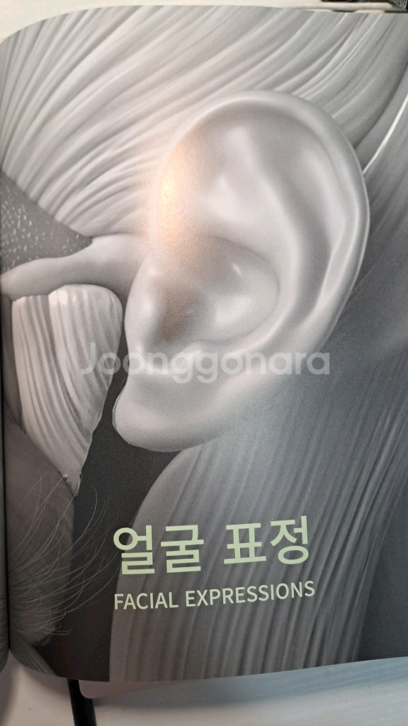 최신기법의 아나토미2 인체해부학 책 택포 안전결제 불가--5