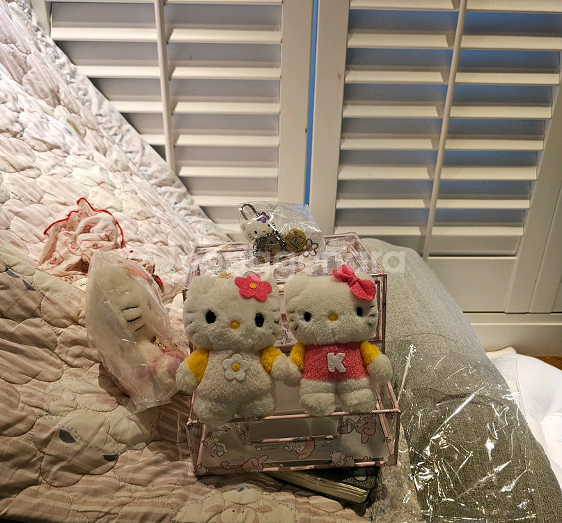 고전뽀실이키티카오하나키티볼체인딸기키티고디바--0