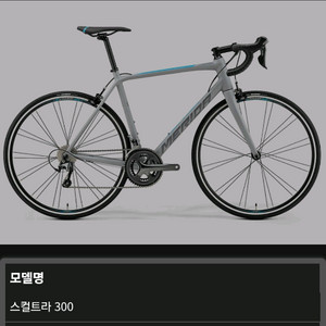 메리다 스컬트라300 림브