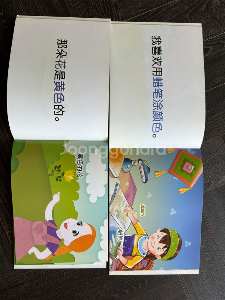 리틀스마티 중국어 전권(21권, DVD, 플랩북, 스토--1