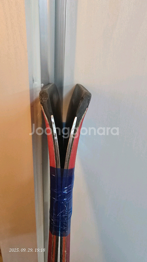 엘란스키 Elan Inspire 스키 152 여성--9