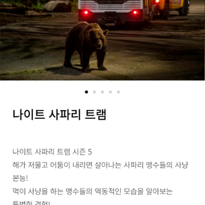 에버랜드 나이트사파리 , 발레파킹 팝니다