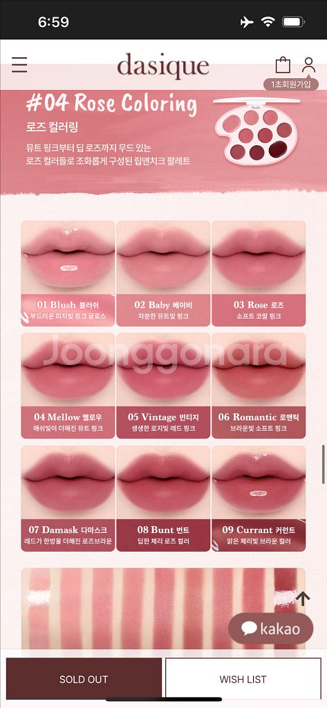 데이지크 무드 페인팅 립앤치크 코랄블러링로즈블러링품절--2