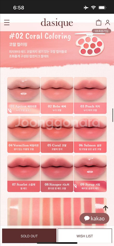 데이지크 무드 페인팅 립앤치크 코랄블러링로즈블러링품절--1