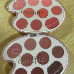 데이지크 무드 페인팅 립앤치크 코랄블러링로즈블러링품절