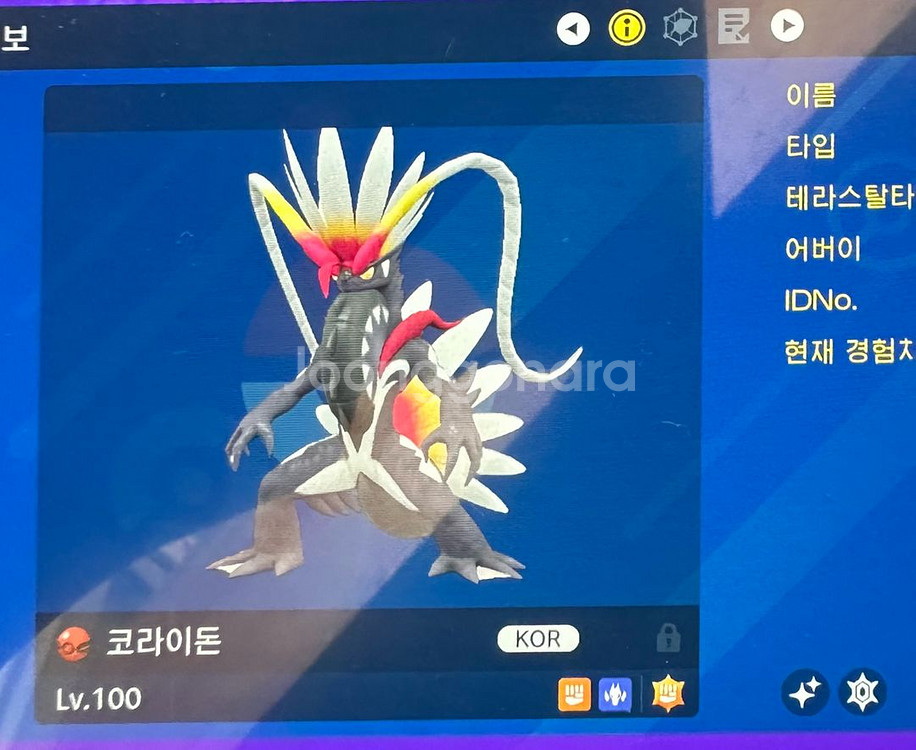 이로치 코라이돈 포켓몬스터 스칼렛 바이올렛--0