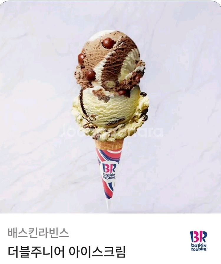 배스킨라빈스 더블주니어 아이스크림 2장--0