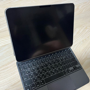 아이패드 프로 11 m4 512GB 셀룰러
