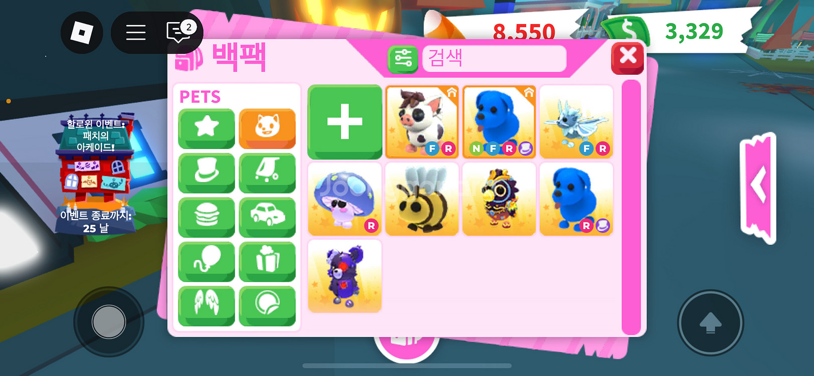 입양하세요/펫 판매--0