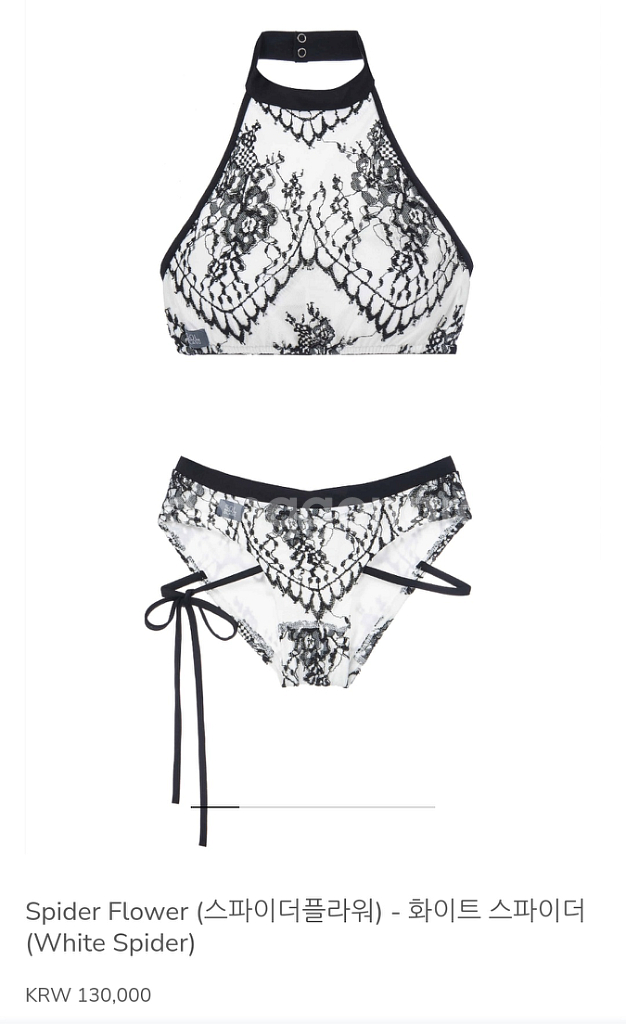 솔블랑 거미꽃 S--0