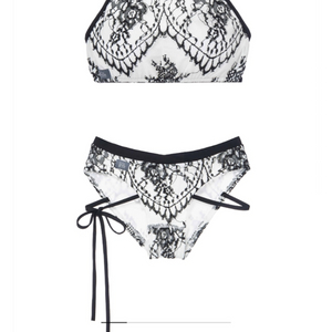 솔블랑 거미꽃 S