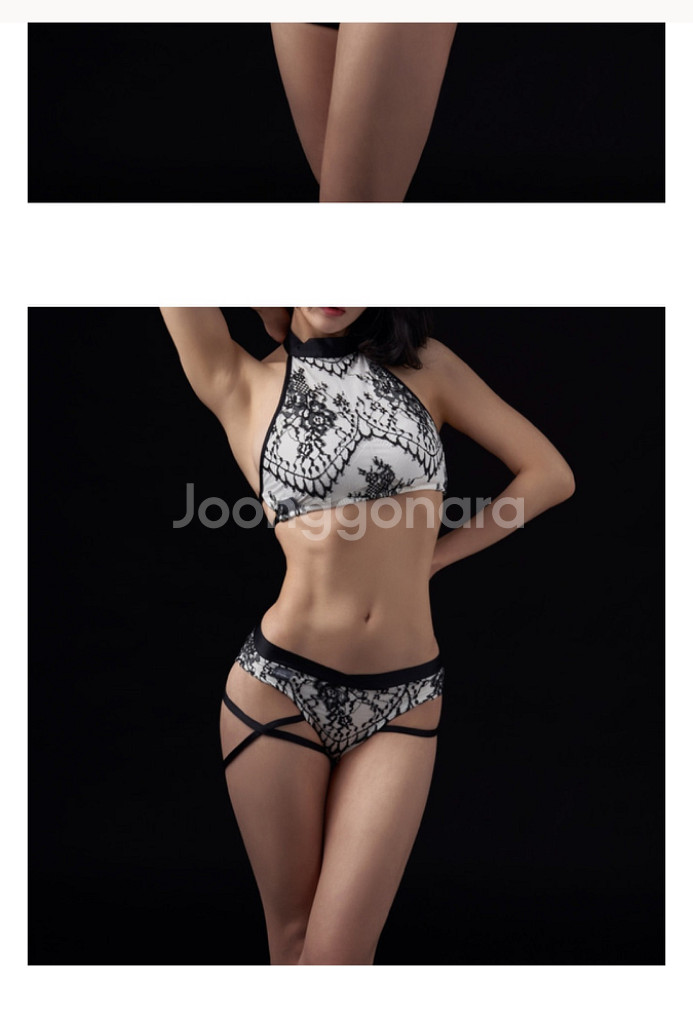 솔블랑 거미꽃 S--1