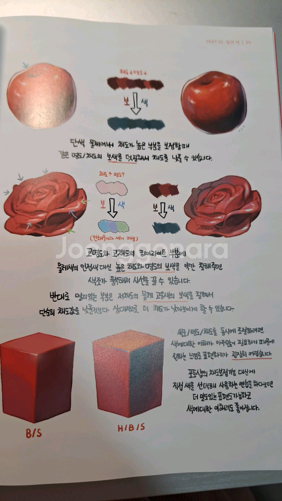 친절한 컬러링 리노참치 택포 안전결제 불가 미술--1