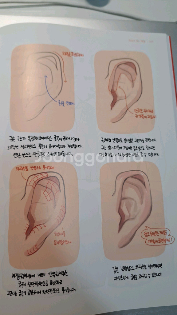 친절한 컬러링 리노참치 택포 안전결제 불가 미술--3