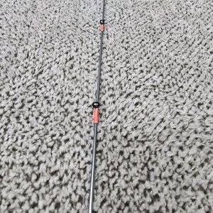 염월BB L. (타이라바)