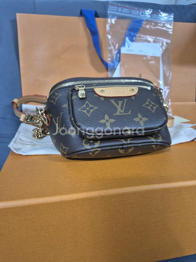 루이비통 미니 범백--0