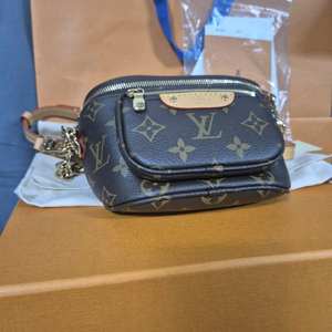 루이비통 미니 범백