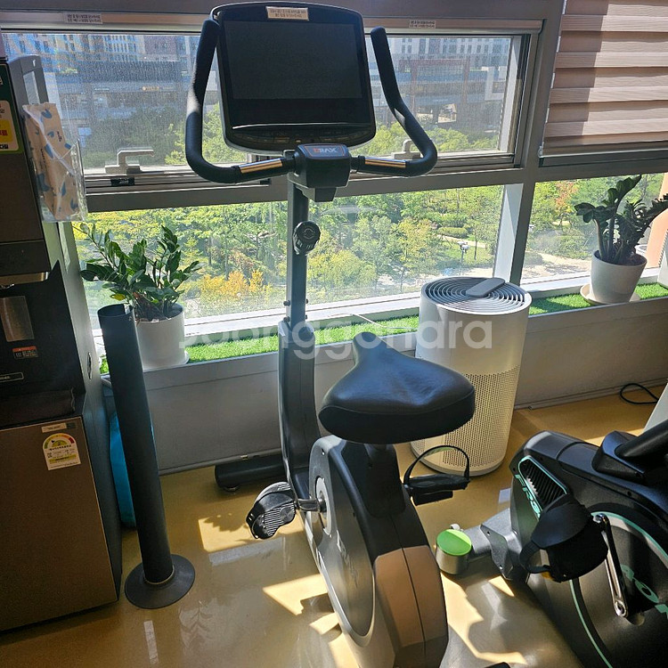 디랙스 입식 싸이클 미러링(TV) 팝니다--0