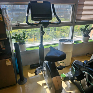 디랙스 입식 싸이클 미러링(TV) 팝니다