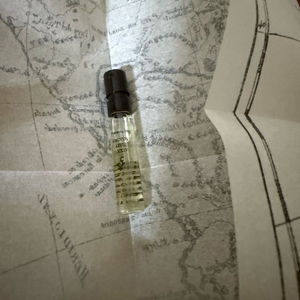 푸에기아 1833 각투스