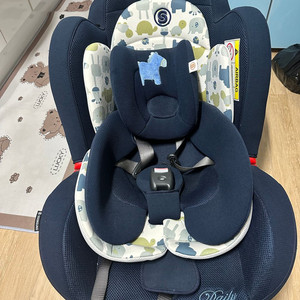 순정 데일리 카시트 팝니다