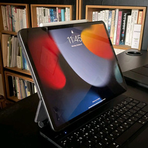 아이패드프로 12.9 4세대 256g 셀룰러 세트