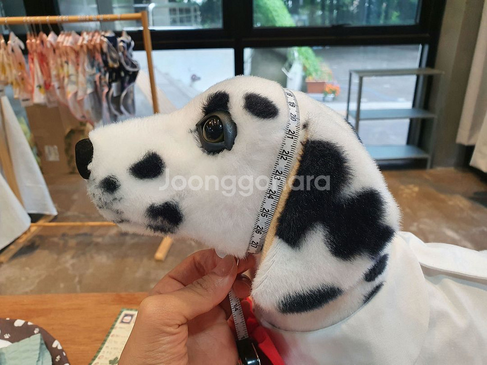 반려동물 아기 강아지 고양이 넥카라--2
