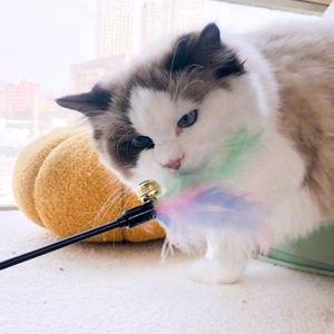 새제품] 고양이 장난감 50cm 30개