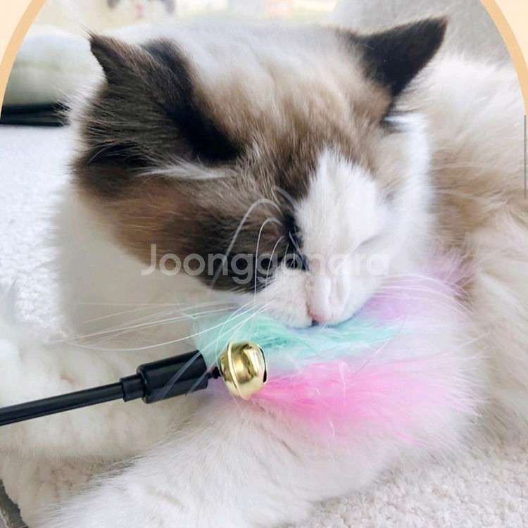 새제품] 고양이 장난감 50cm 30개--1
