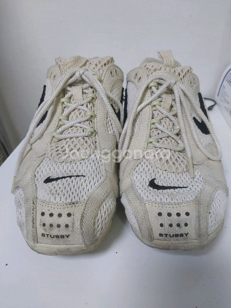 나투시 스피리돈--4