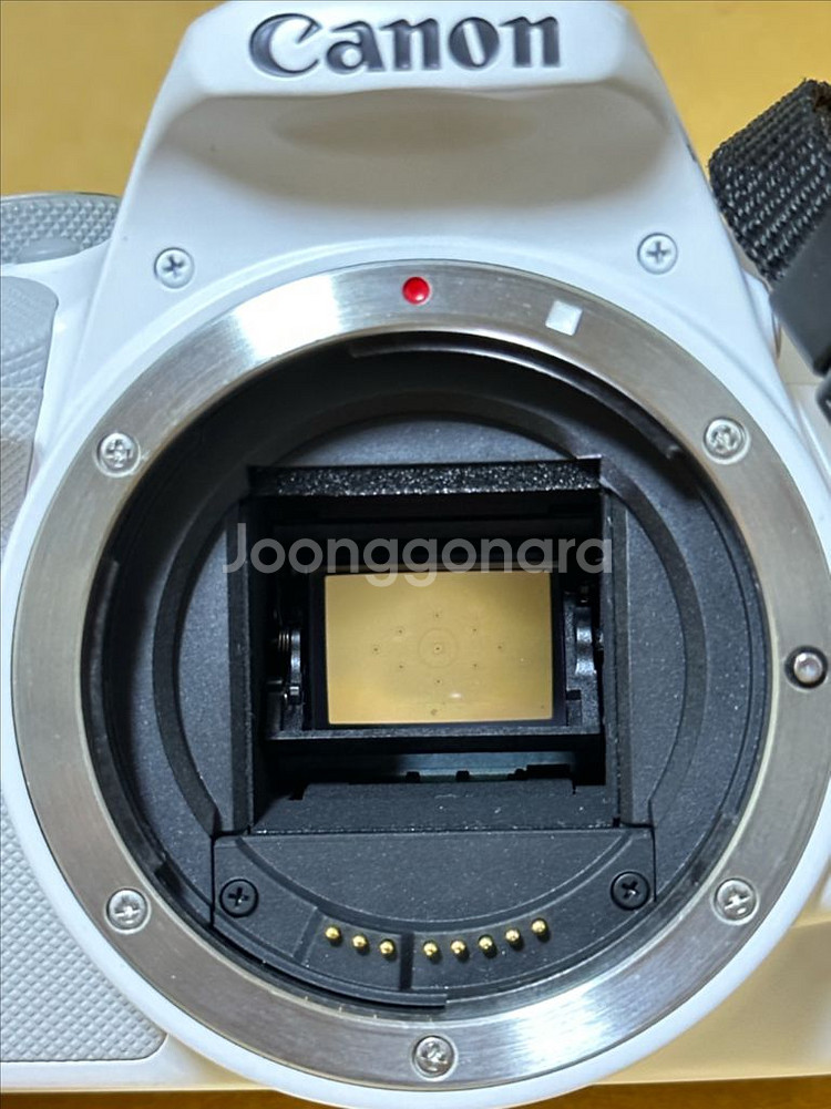 캐논 EOS 100D--3