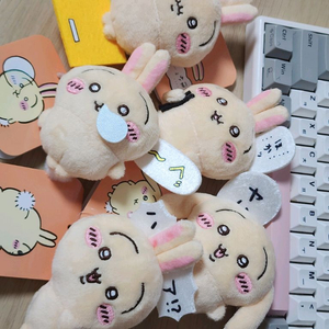 치이카와 우사기 투성이 쿠지 5종