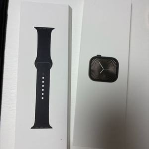 애플워치 시리즈10(티타늄,슬레이트) 42mm