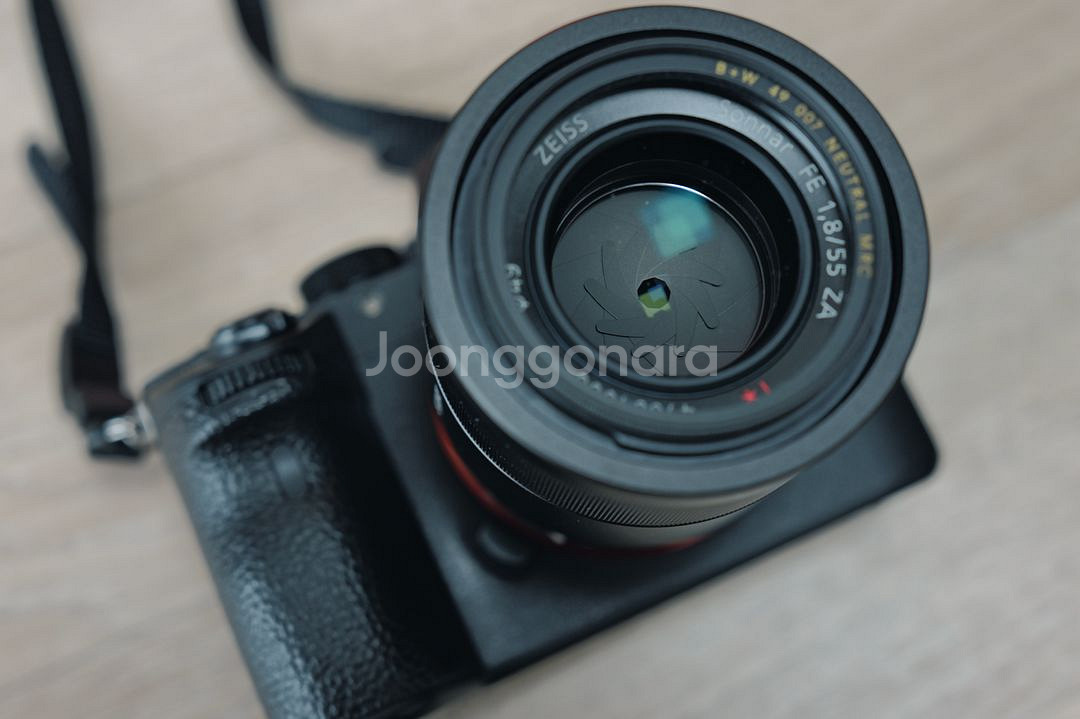 Sony A7R3, sel55f18z + 추가 배터리--4