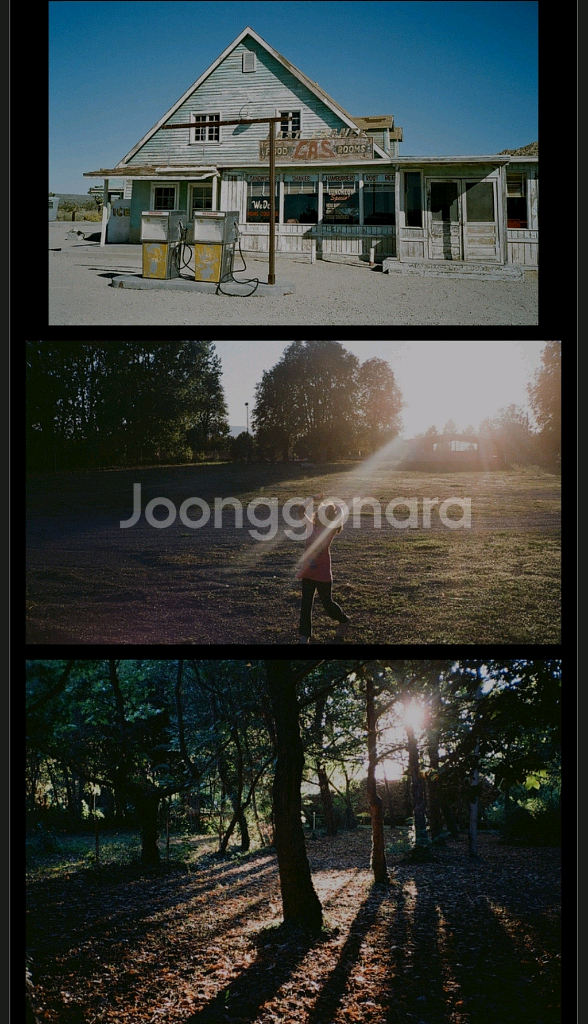 미놀타 AF TELE 필카 필름 카메라 작동확인--3