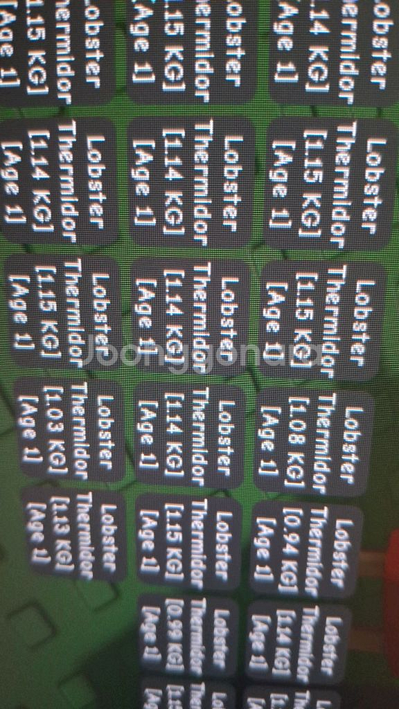 그로우 어 가든 그어가 랍스터 10마리--0