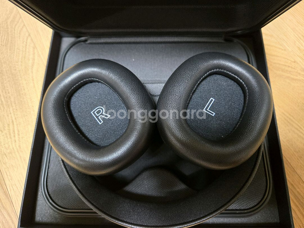 뱅앤올룹슨 H95--2