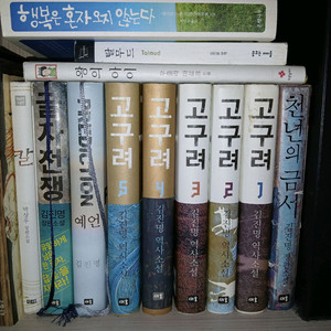 김진명 고구려 글자전쟁 람세스 IQ84 규장각 성균관