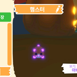 입양하세요 펫 메가네온 햄스터 판매합니다