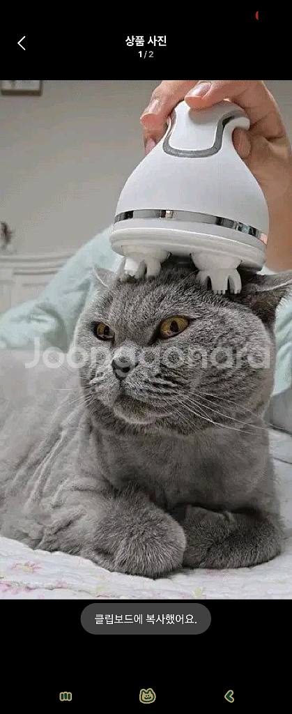 고양이마사지 고양이마사지기 강아지마사지--0